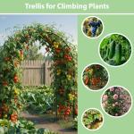 Metal Garden Arch for Climbing Plants and Decor