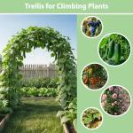 7.9Ft Metal Garden Arch for Climbing Plants