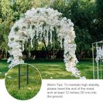 7.9Ft Metal Garden Arch for Climbing Plants