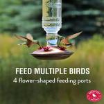 Antique Glass Hummingbird Feeder for Outdoors