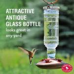 Antique Glass Hummingbird Feeder for Outdoors
