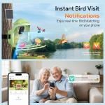 Outdoor Bird Feeder Camera with Night Vision