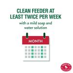 Antique Glass Hummingbird Feeder for Outdoors