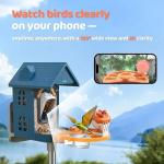 Solar Bird Feeder with Camera and 2K Video