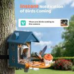 Solar Bird Feeder with Camera and 2K Video