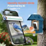 Solar Bird Feeder with Camera and 2K Video