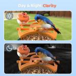 Solar Bird Feeder with Camera and 2K Video