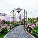 Metal Birdcage Gazebo for Backyard and Weddings