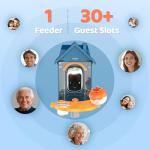 Solar Bird Feeder with Camera and 2K Video