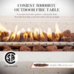 COSIEST 42" Outdoor Propane Fire Pit Table