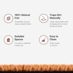 Theodore Magnus Durable Outdoor Coir Doormat 17"x30