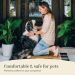 Theodore Magnus Durable Outdoor Coir Doormat 17"x30