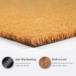 Theodore Magnus Durable Outdoor Coir Doormat 17"x30