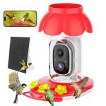 Smart Hummingbird Feeder with Camera and Motion Detection