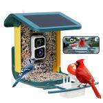 Bird Feeder Camera with 2K Live Stream