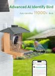 Smart Bird Feeder with Camera and AI Identification