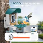 Smart Bird Feeder with Camera and Solar Power