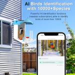 Smart Bird Feeder Camera for Birdwatching Fun