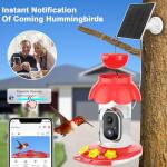 Smart Hummingbird Feeder with Camera and Motion Detection