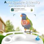 Smart Bird Feeder Camera for Birdwatching Fun