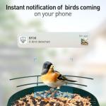 Smart Bird Feeder with Camera and Solar Power