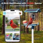 Bird Feeder Camera with 2K Live Stream