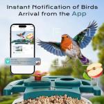 Smart Bird Feeder with Camera and Solar Power