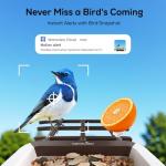 Smart Bird Feeder with Camera and Solar Power