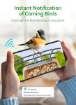 Smart Bird Feeder with Camera and Motion Detection
