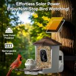 Smart Bird Feeder with Camera and Solar Power