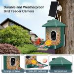 Smart Bird Feeder with Camera and AI Detection