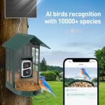 Smart Bird Feeder with Camera and Solar Power
