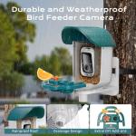 Smart Bird Feeder with Camera and Solar Power