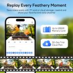 Smart Bird Feeder with Camera and Solar Power