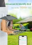 Smart Bird Feeder with Camera and Motion Detection