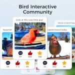 Smart Bird Feeder with Camera and Solar Power