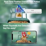 Smart Bird Feeder with Camera and AI Detection