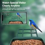 Smart Bird Feeder with Camera and AI Detection