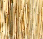 Natural Reed Fencing for Backyard Garden Decor