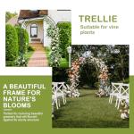 Outvita 7FT Heavy Duty Metal Garden Arch