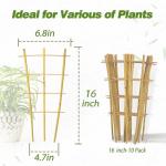 10-Pack Bamboo Trellis for Climbing Plants