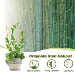 10-Pack Bamboo Trellis for Climbing Plants