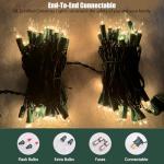 HISHINY 100 Count Clear Outdoor String Lights