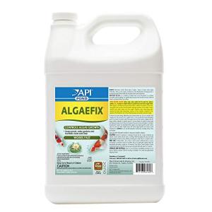 API Pond Algaefix Algae Control - 1 Gallon
