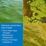 API Pond Algaefix Algae Control - 1 Gallon