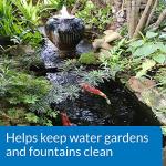 API Pond Algaefix Algae Control - 1 Gallon