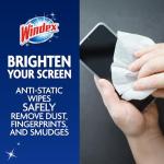 Pre-Moistened Screen Wipes for TVs and Electronics