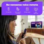 Roku Streaming Stick 4K with Voice Remote