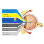 Cloudray 1064nm Laser Safety Goggles with OD6+ Protection
