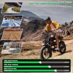 Tamobyke T73ProMax 3000W Moped Style Ebike